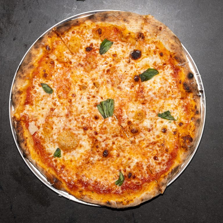 Spaghetti Delights: Italian Pasta Favorites